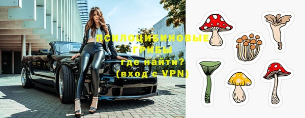 ПСИЛОЦИБИНОВЫЕ ГРИБЫ Балахна