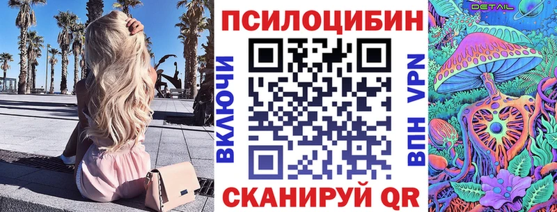 Галлюциногенные грибы Psilocybe  закладки  Отрадная 